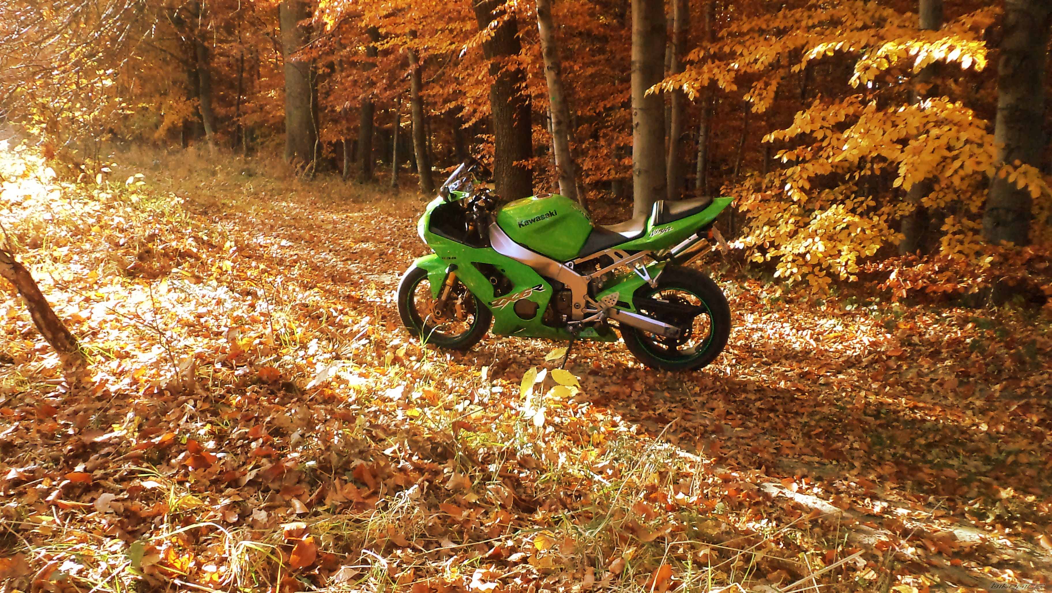 Bike Photo 2296747