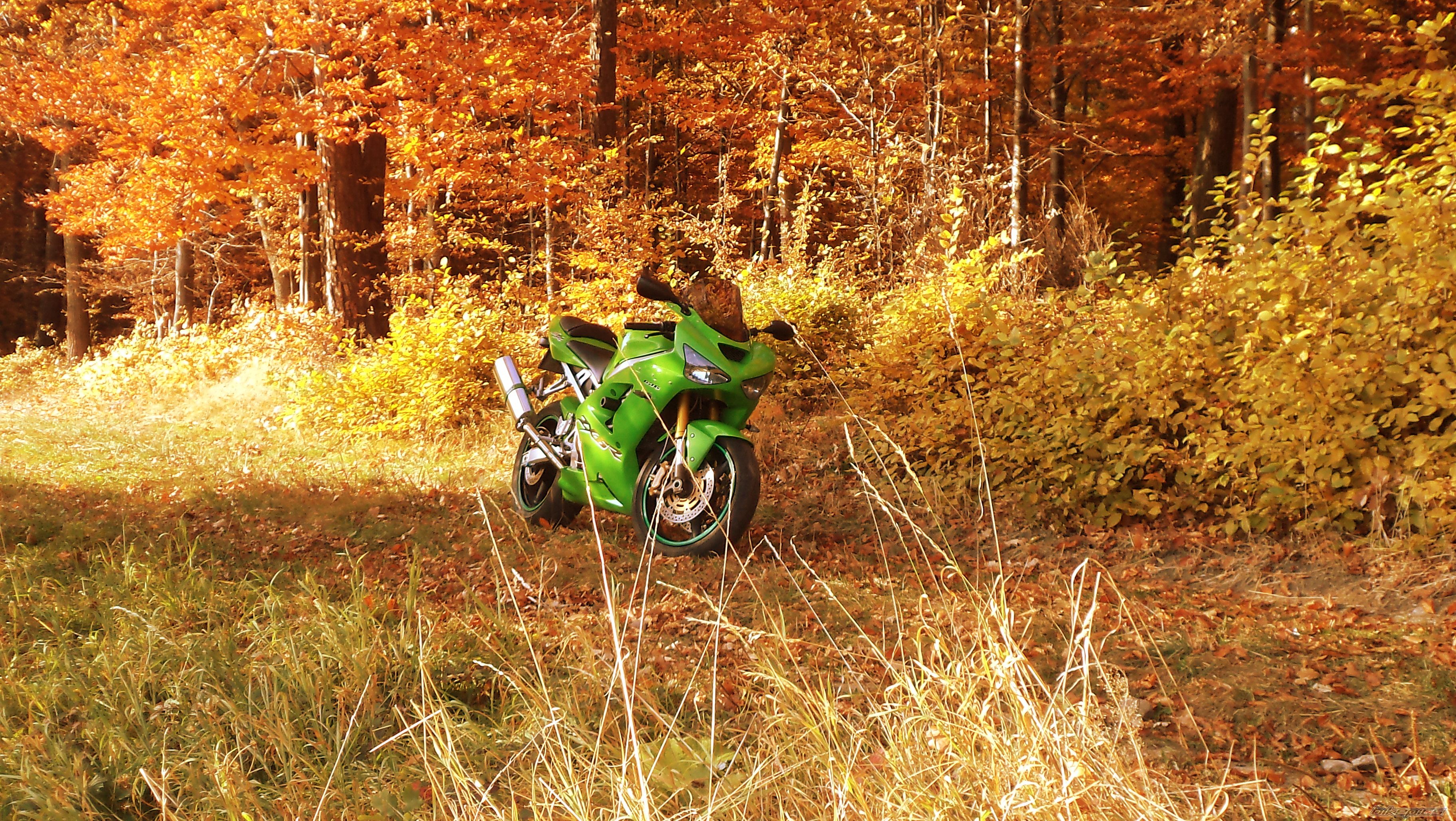 Bike Photo 2296758