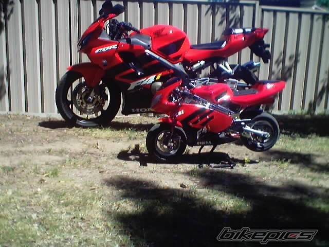 Photo 229684