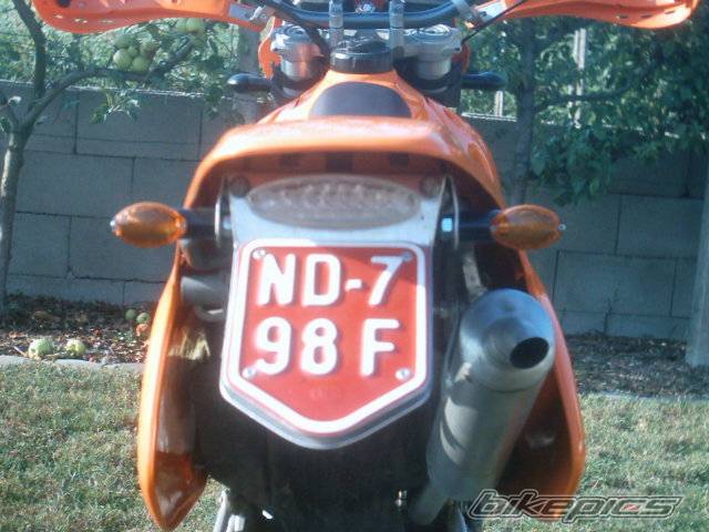 Photo 229691