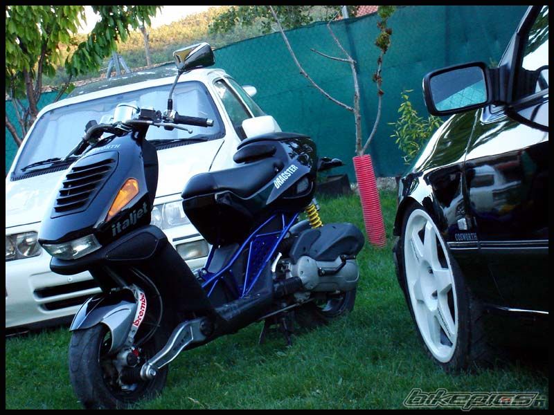 Photo 2297085