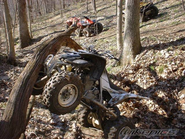 Photo 22971