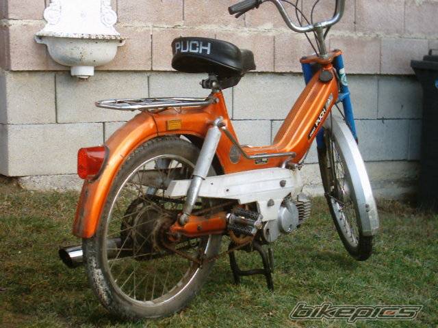 Photo 229710