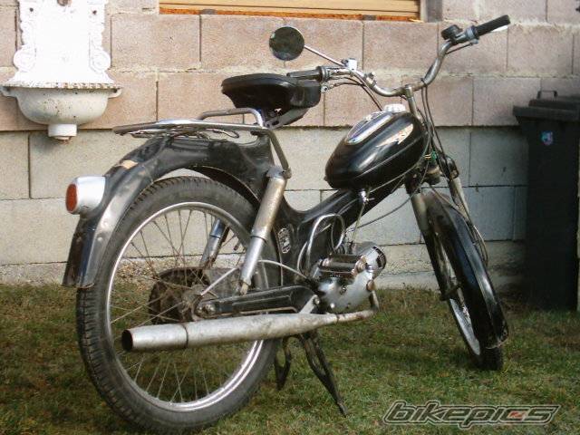 Photo 229712