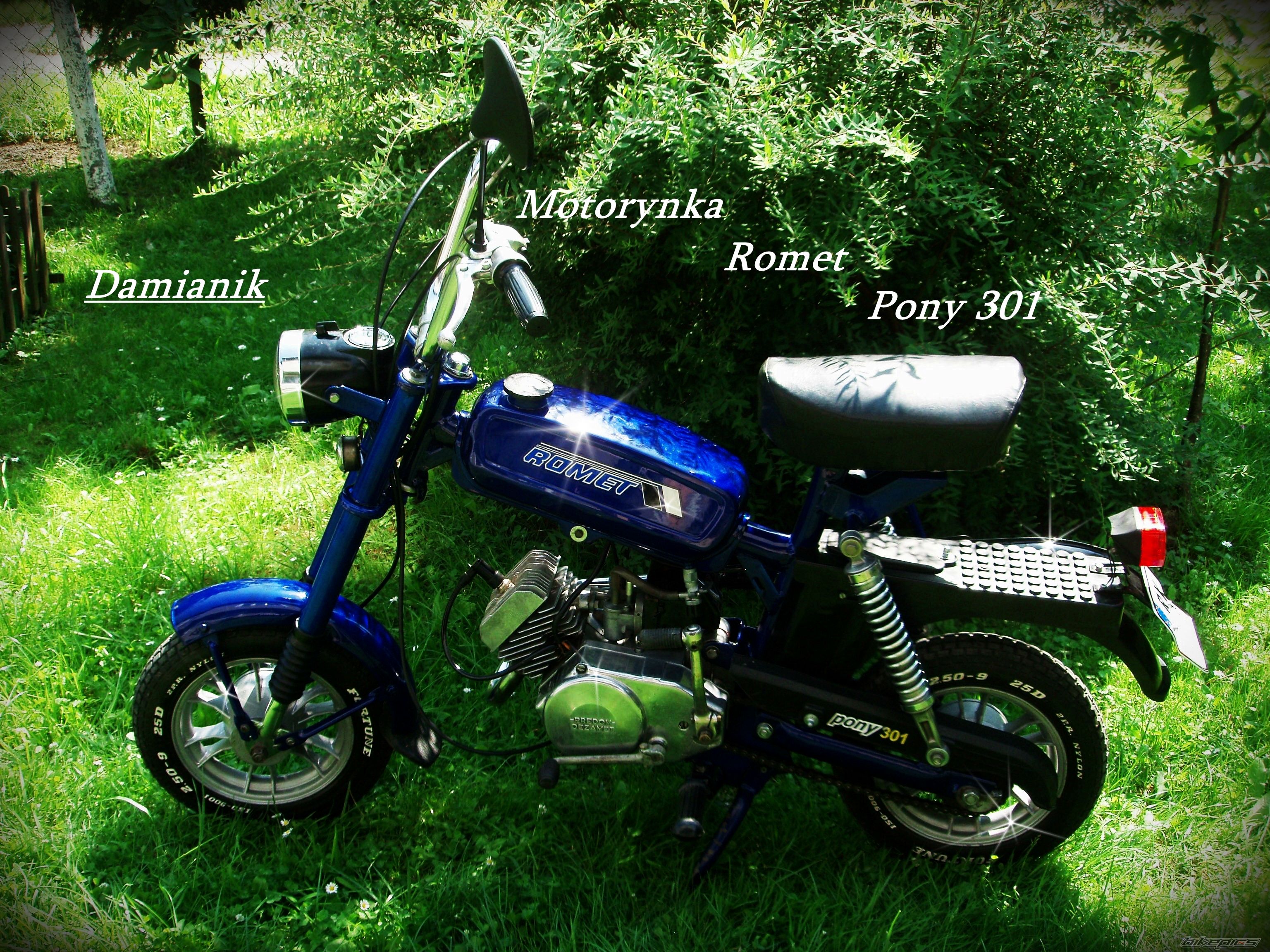 Photo 2297130