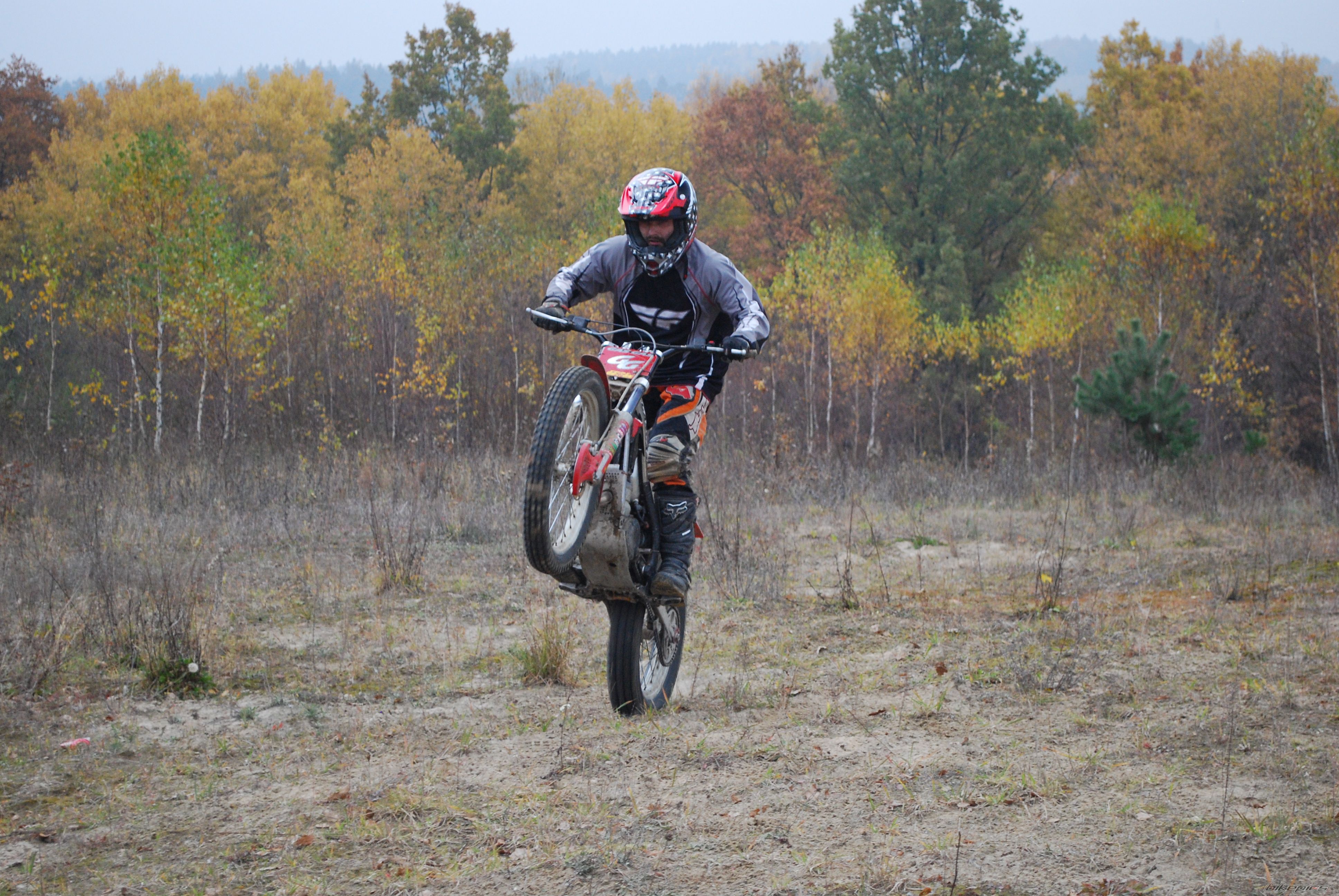 Photo 2297146