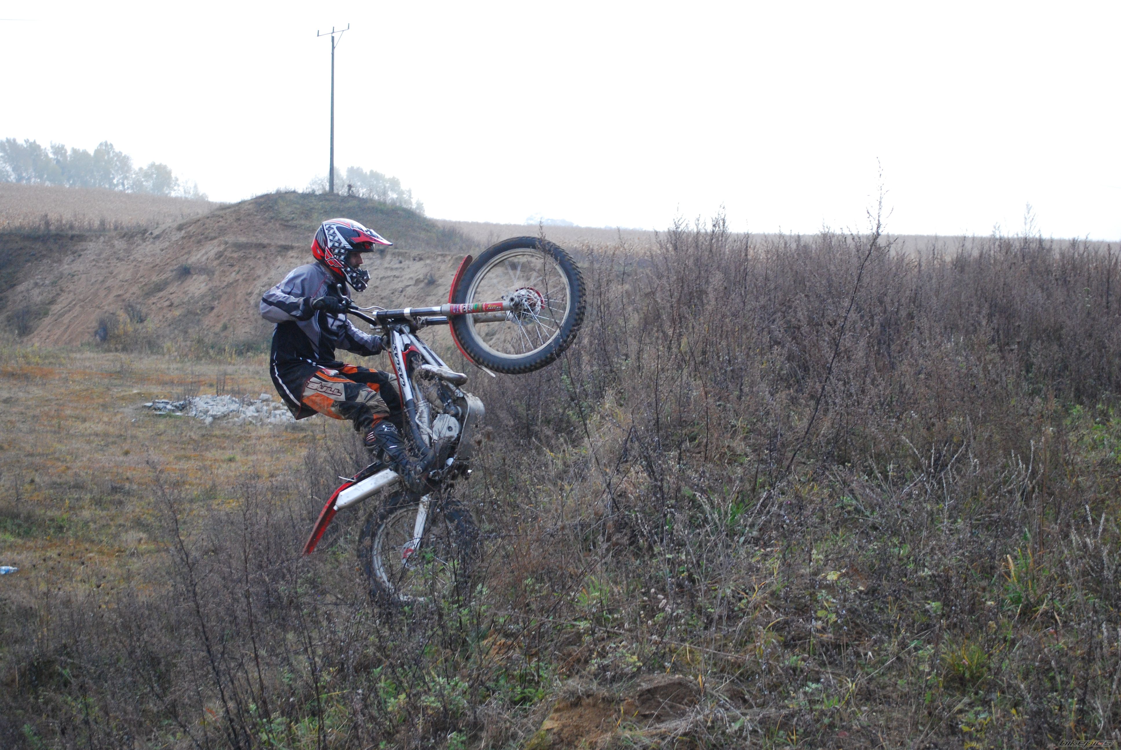 Photo 2297147