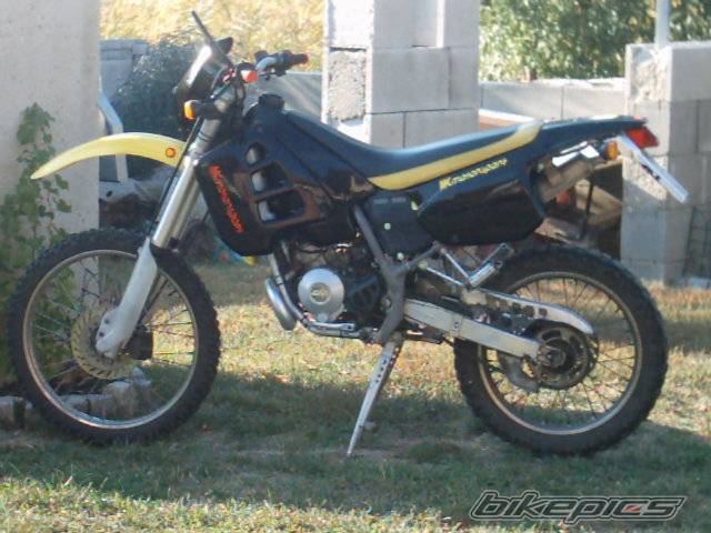 Photo 229720