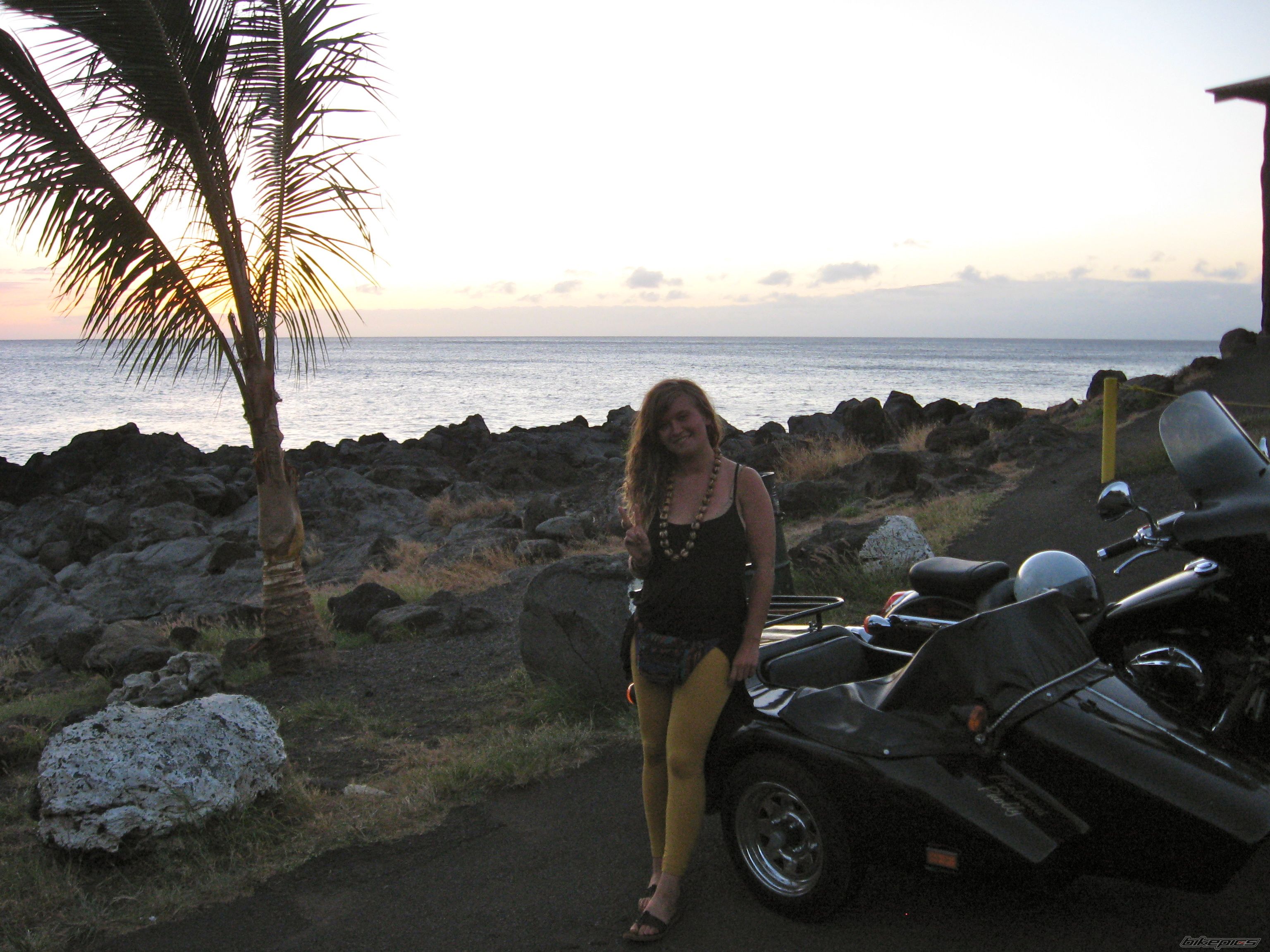 Photo 2297307