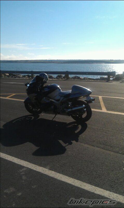 Photo 2297374