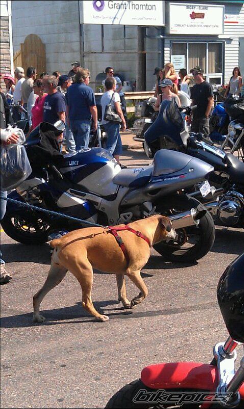 Photo 2297377