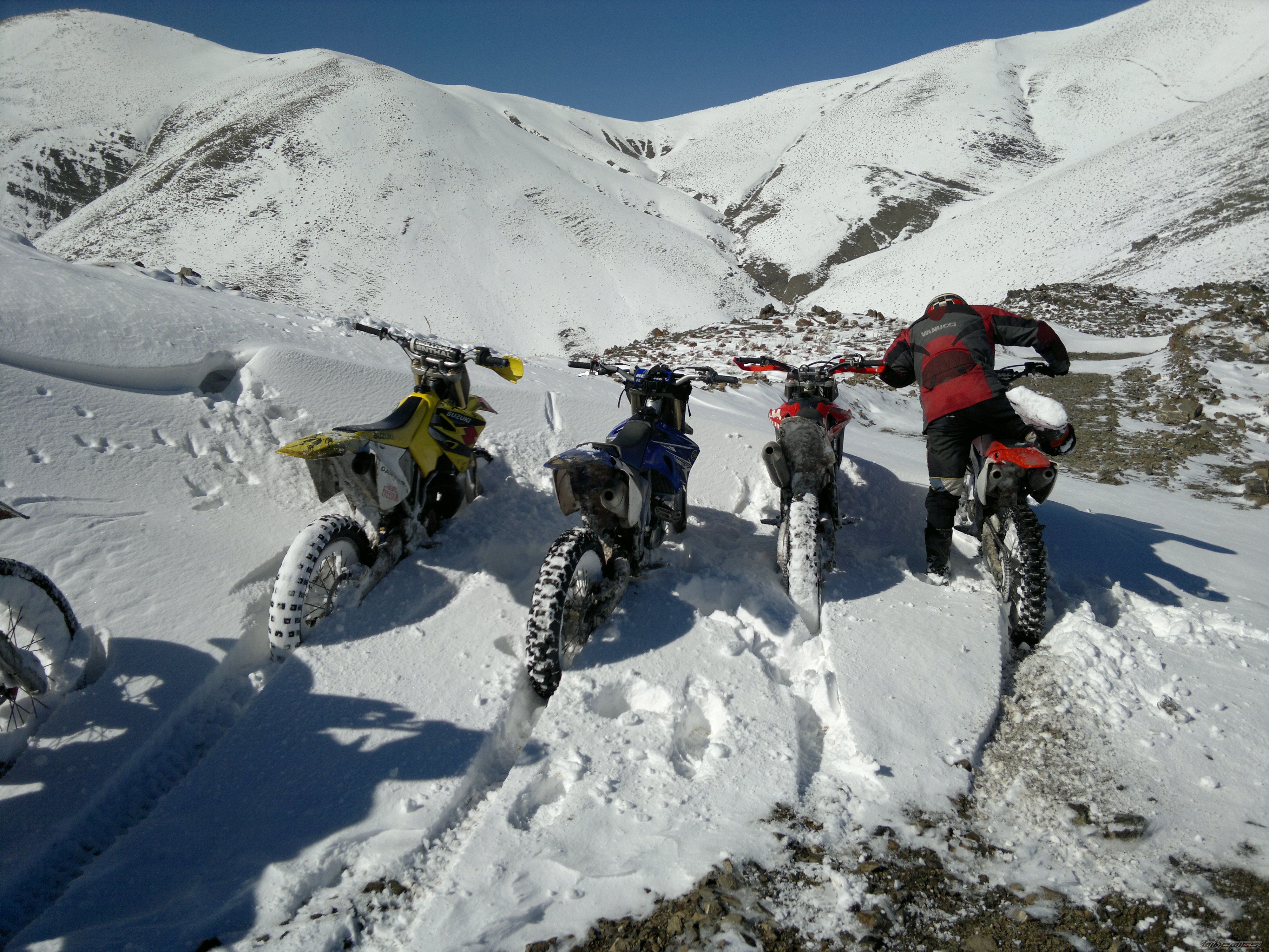 Photo 2297423