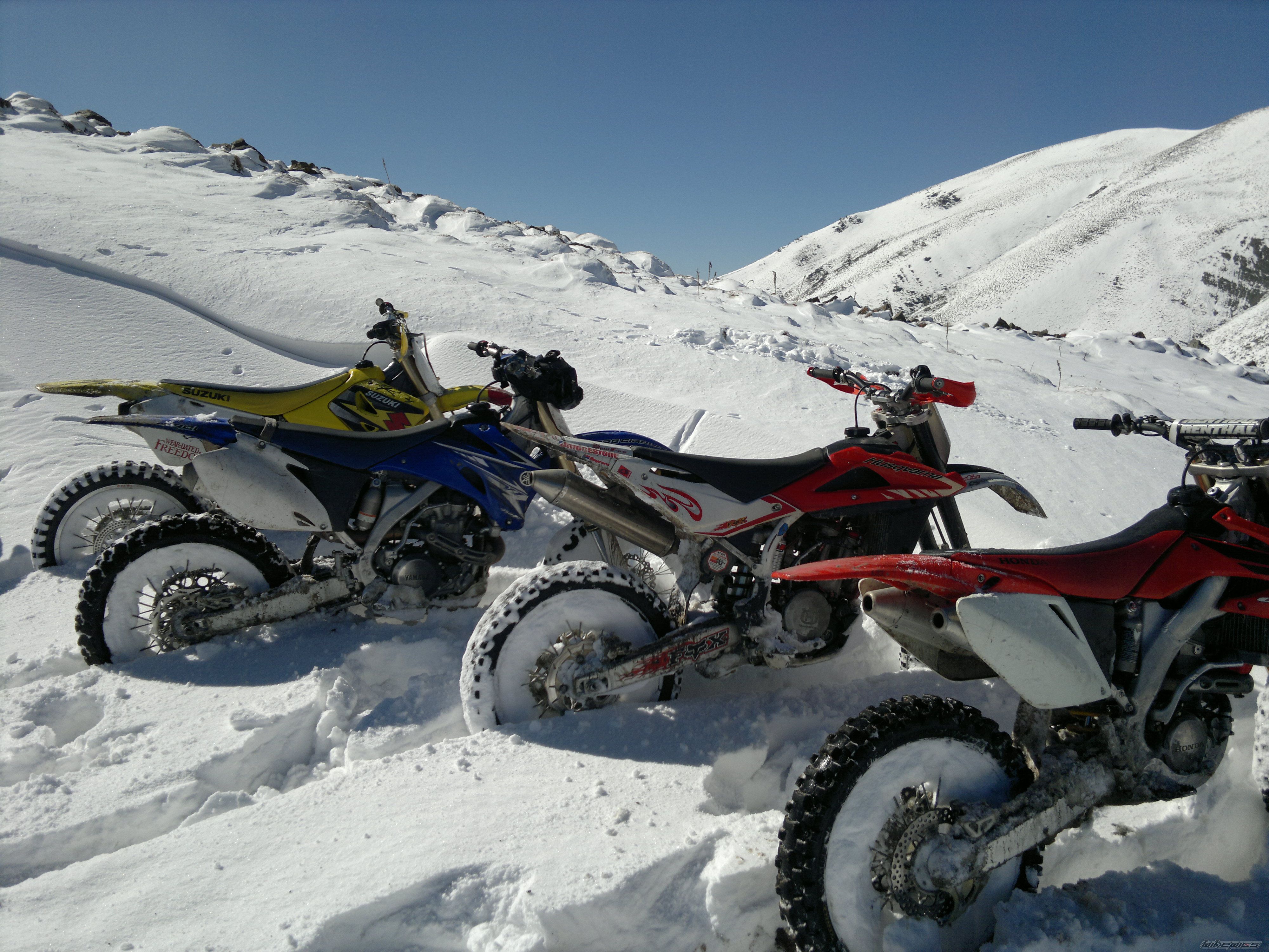 Photo 2297432