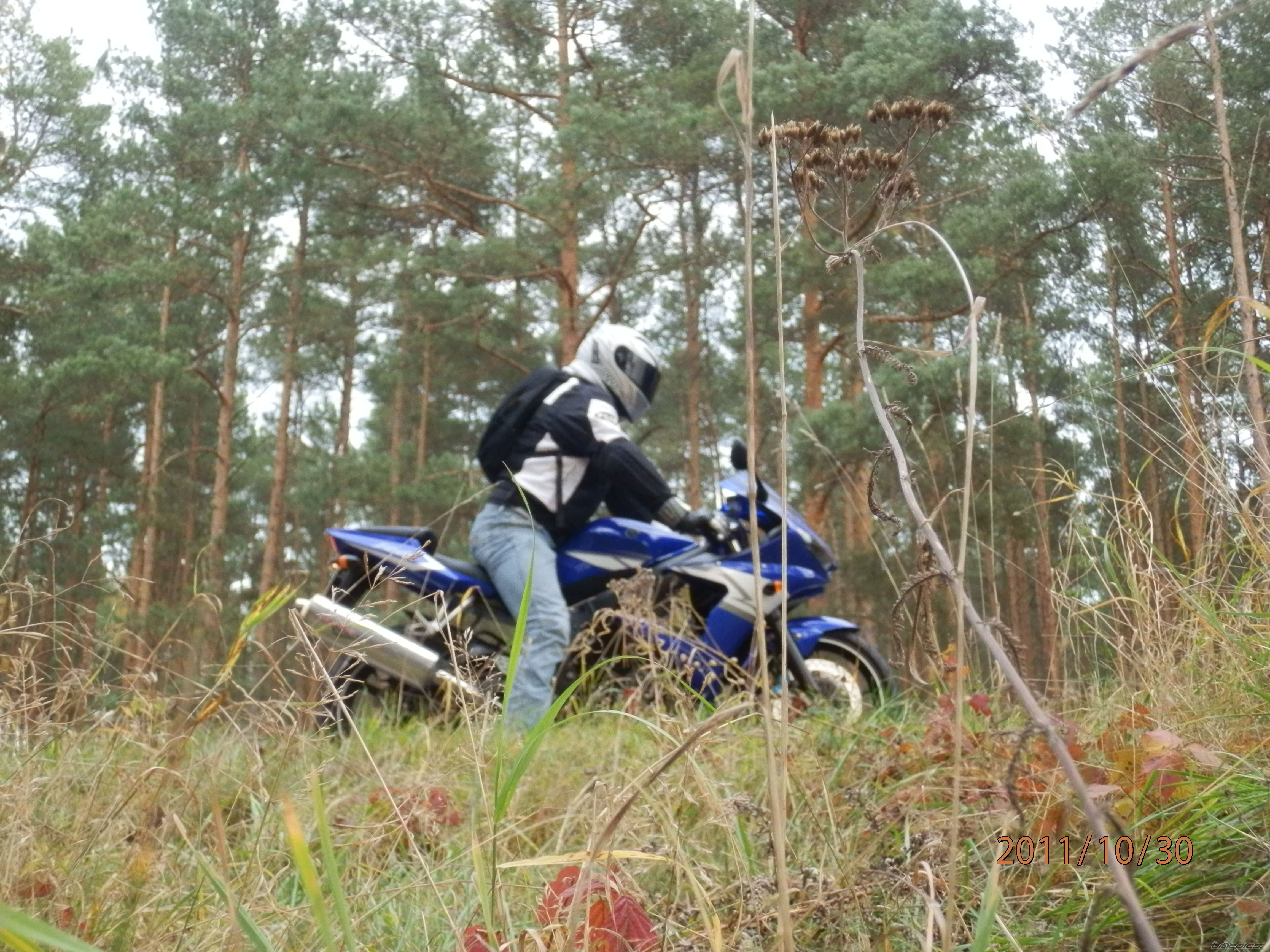 Photo 2297498