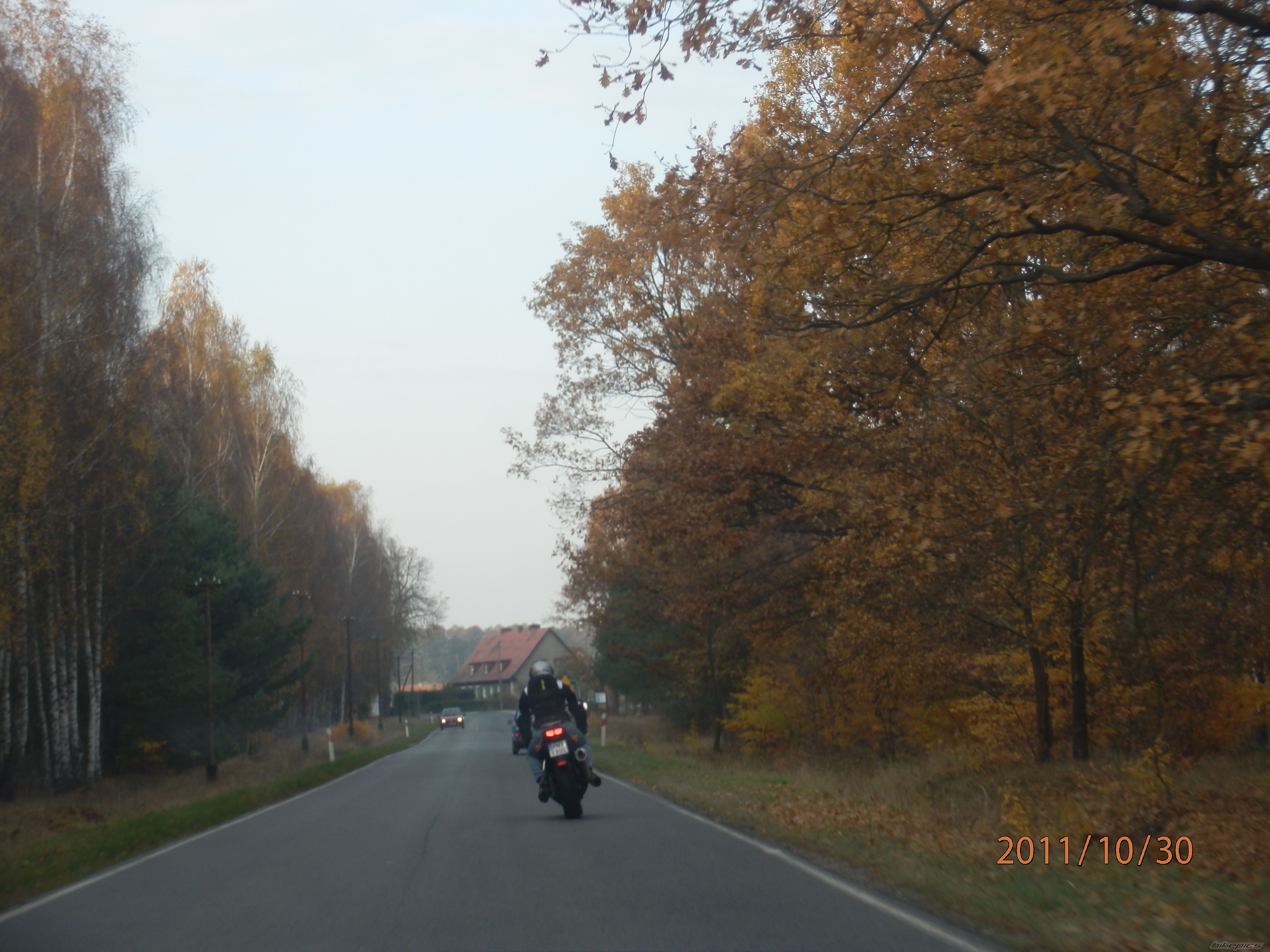 Photo 2297509