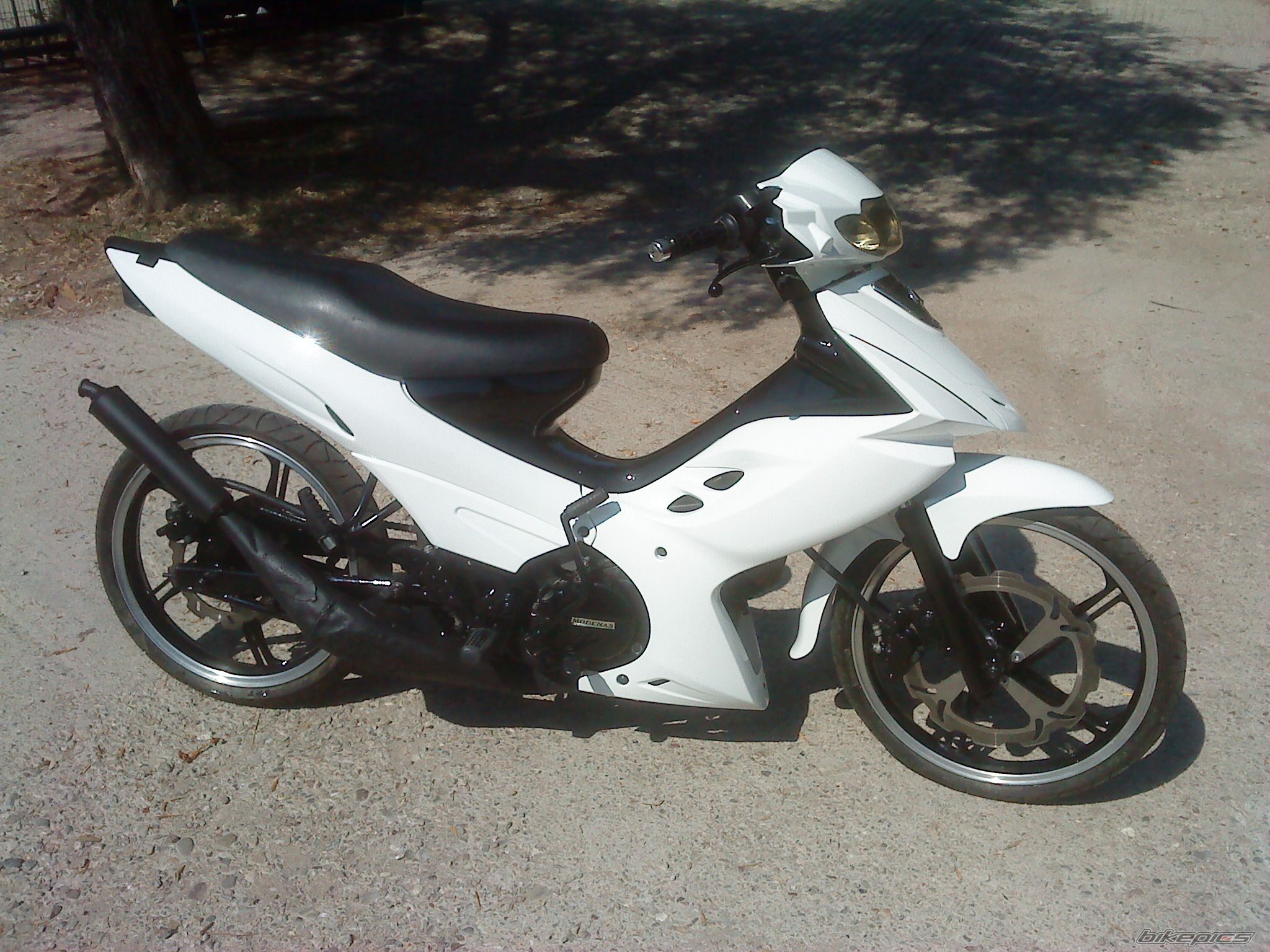 Photo 2297537