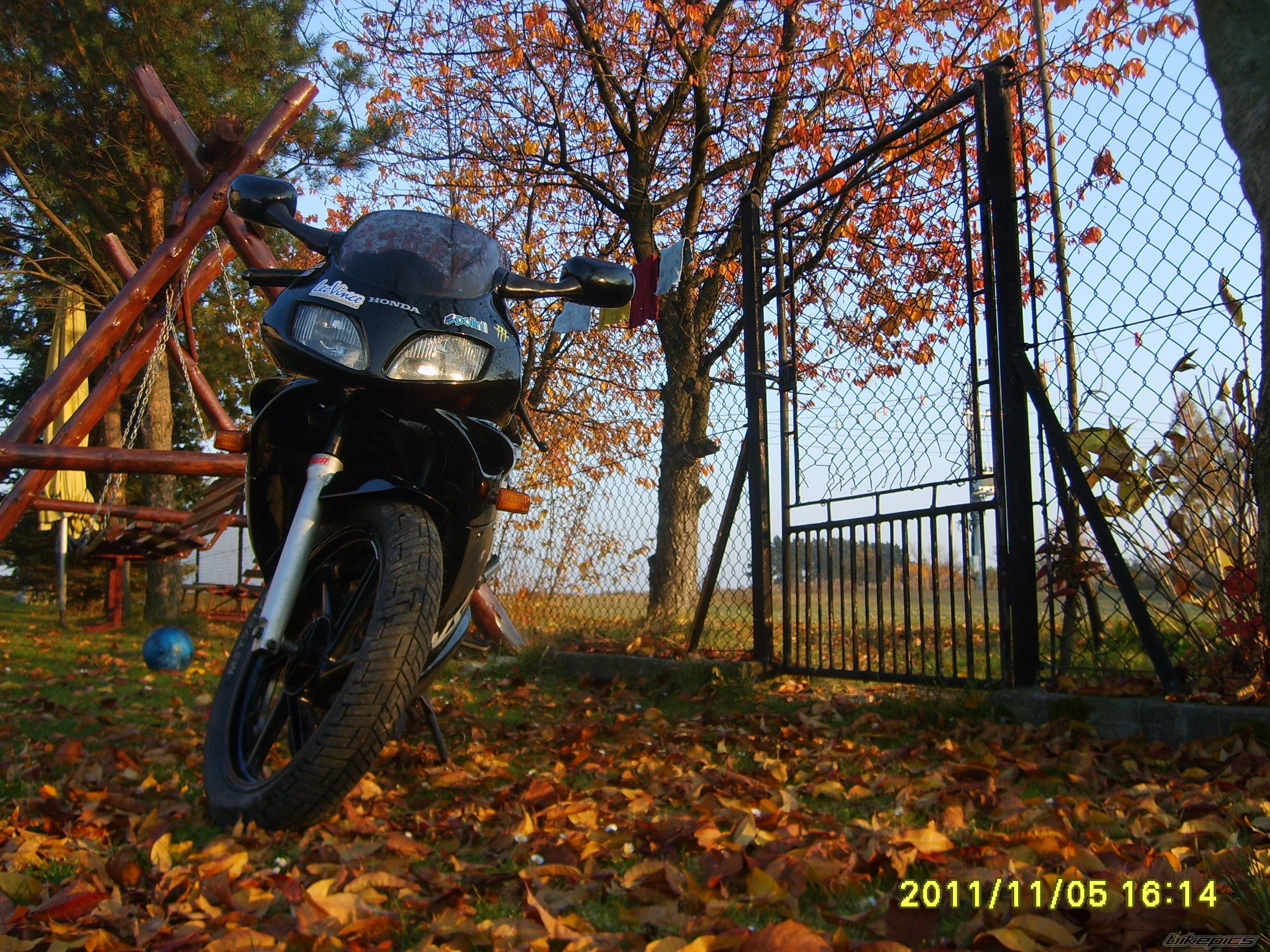 Photo 2297552
