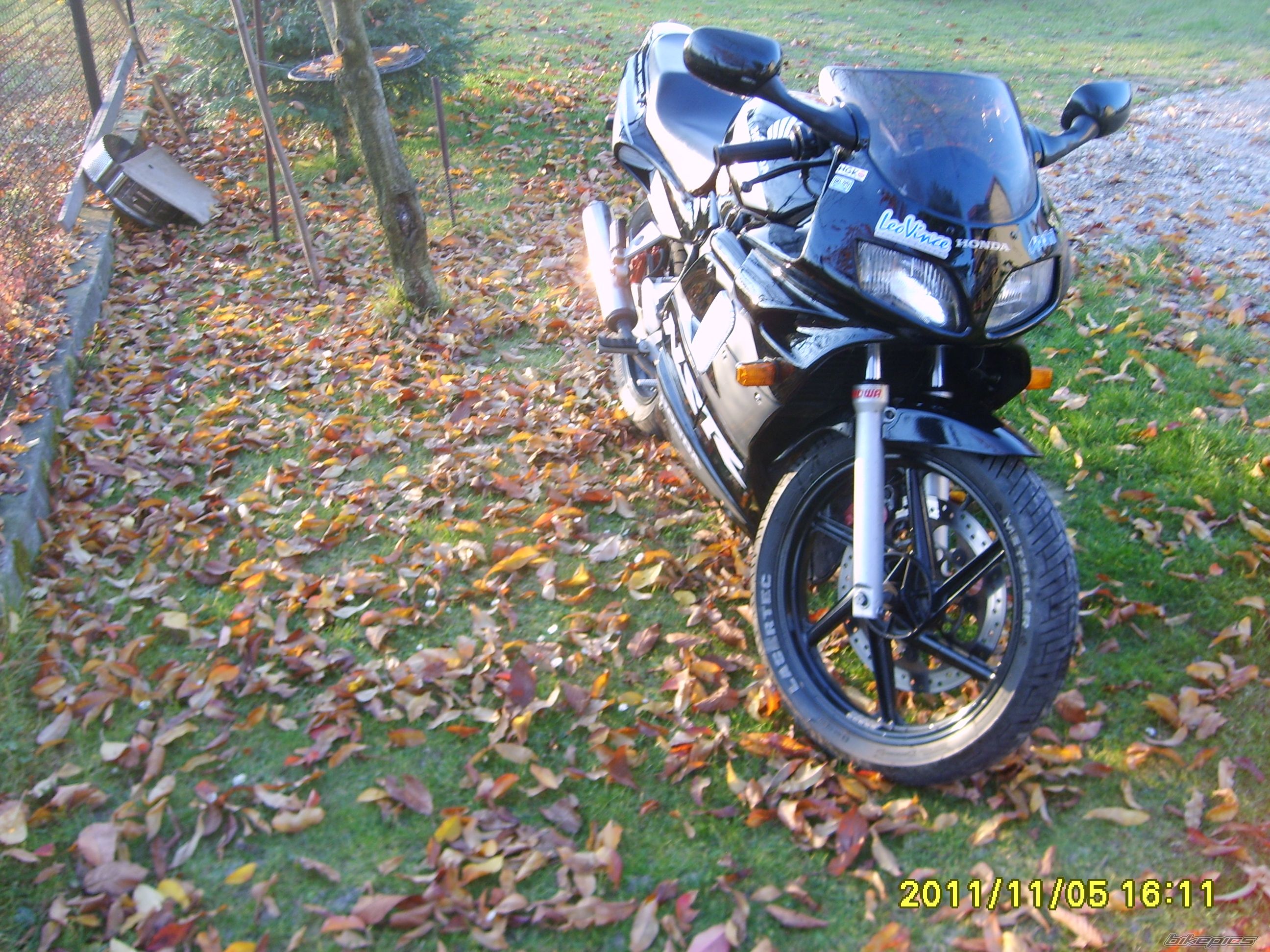 Photo 2297553