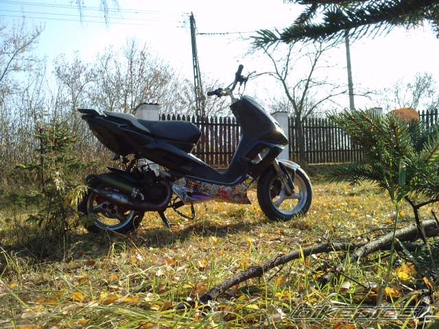 Photo 2297554