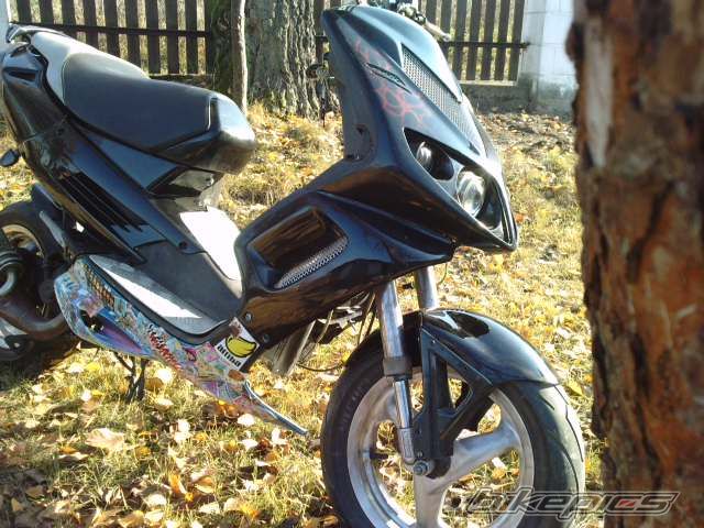 Photo 2297561