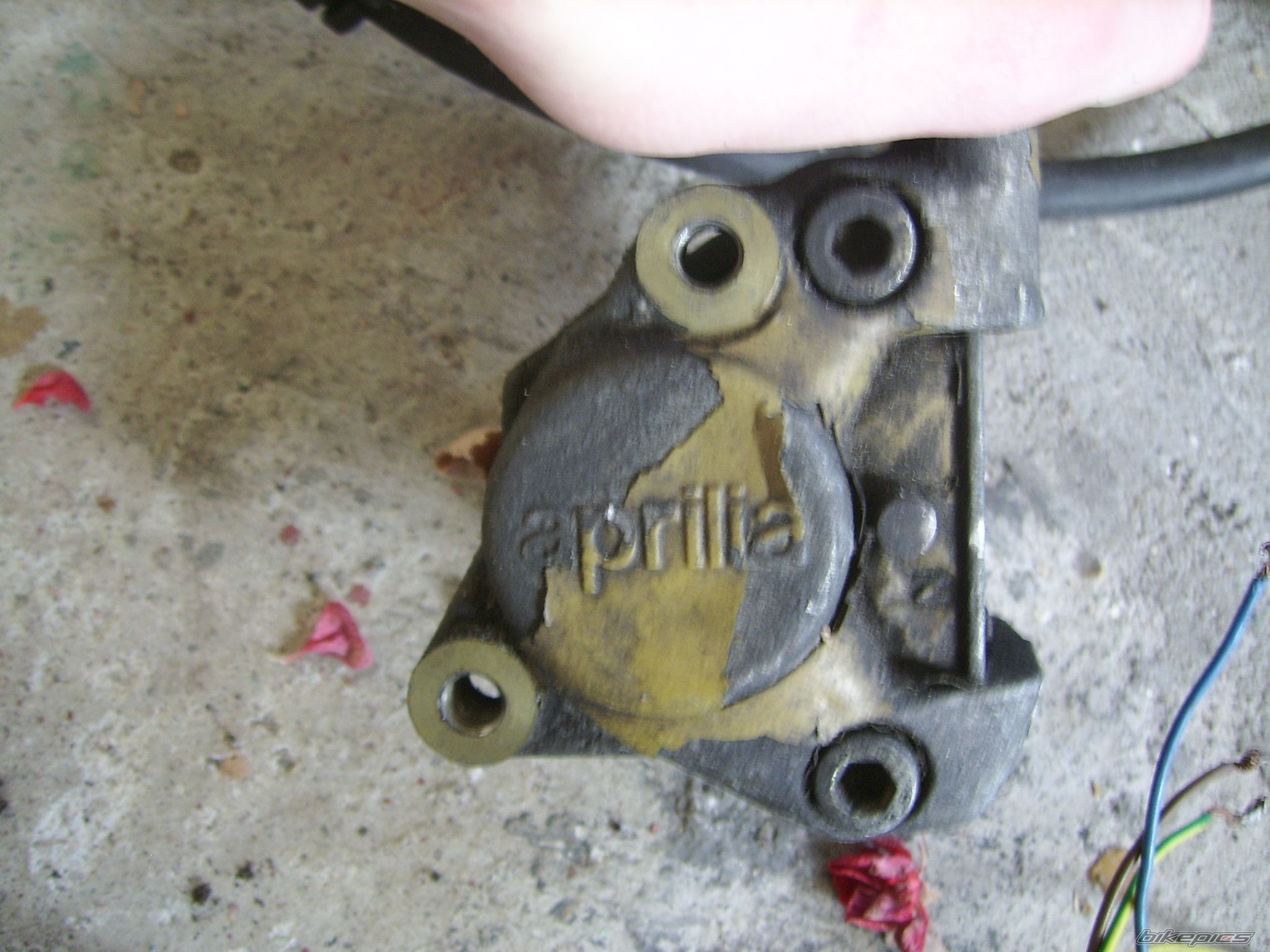 Photo 2297594