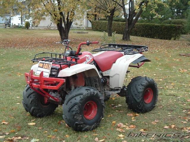 Photo 229763