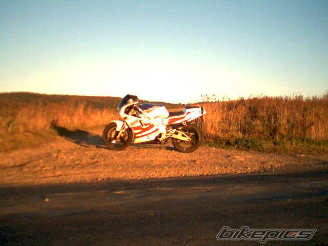 Photo 229767