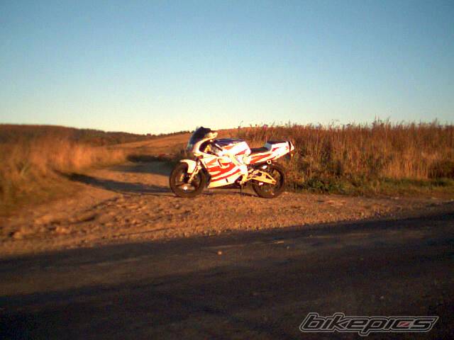 Photo 229768