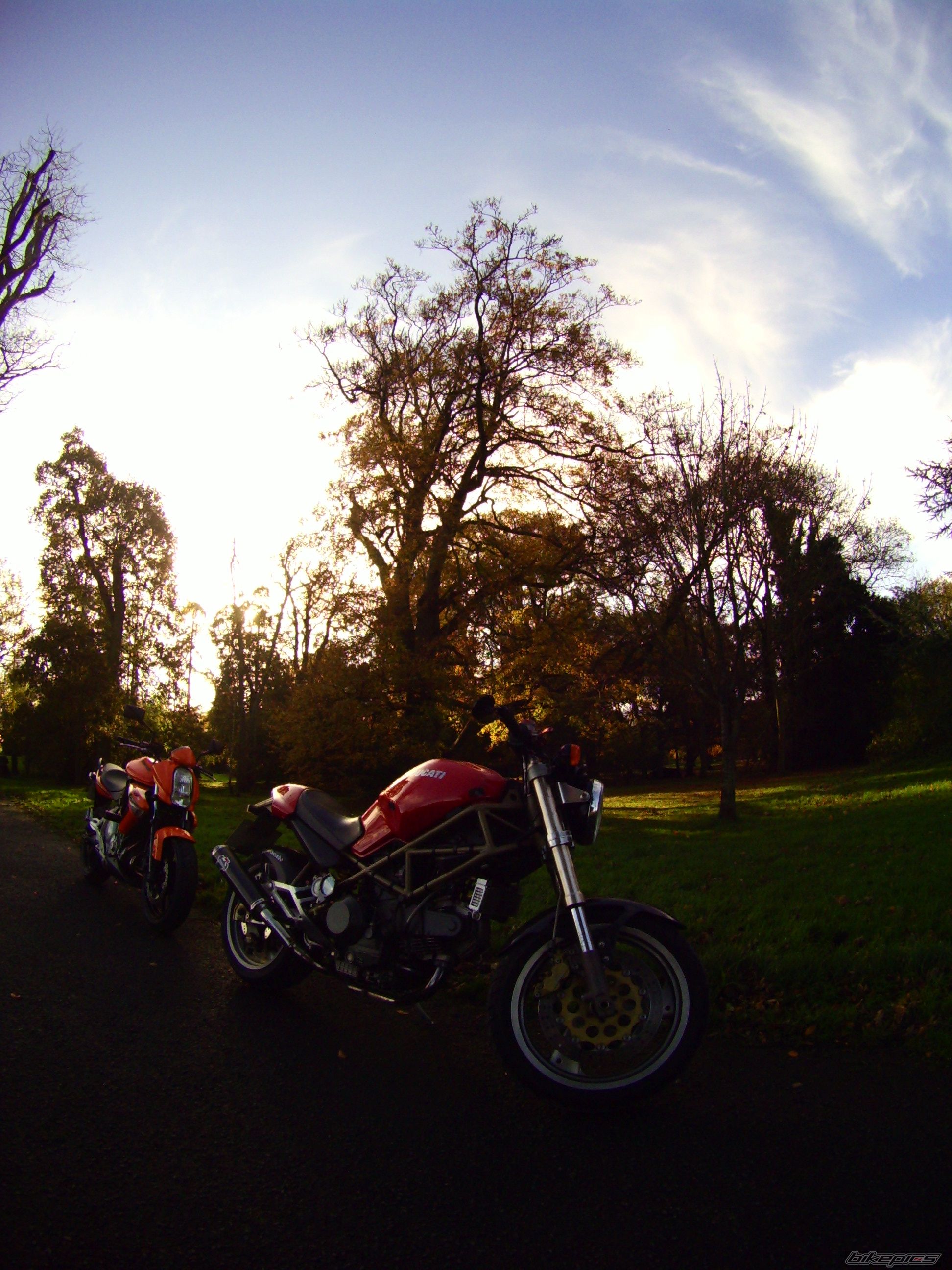 Photo 2297690