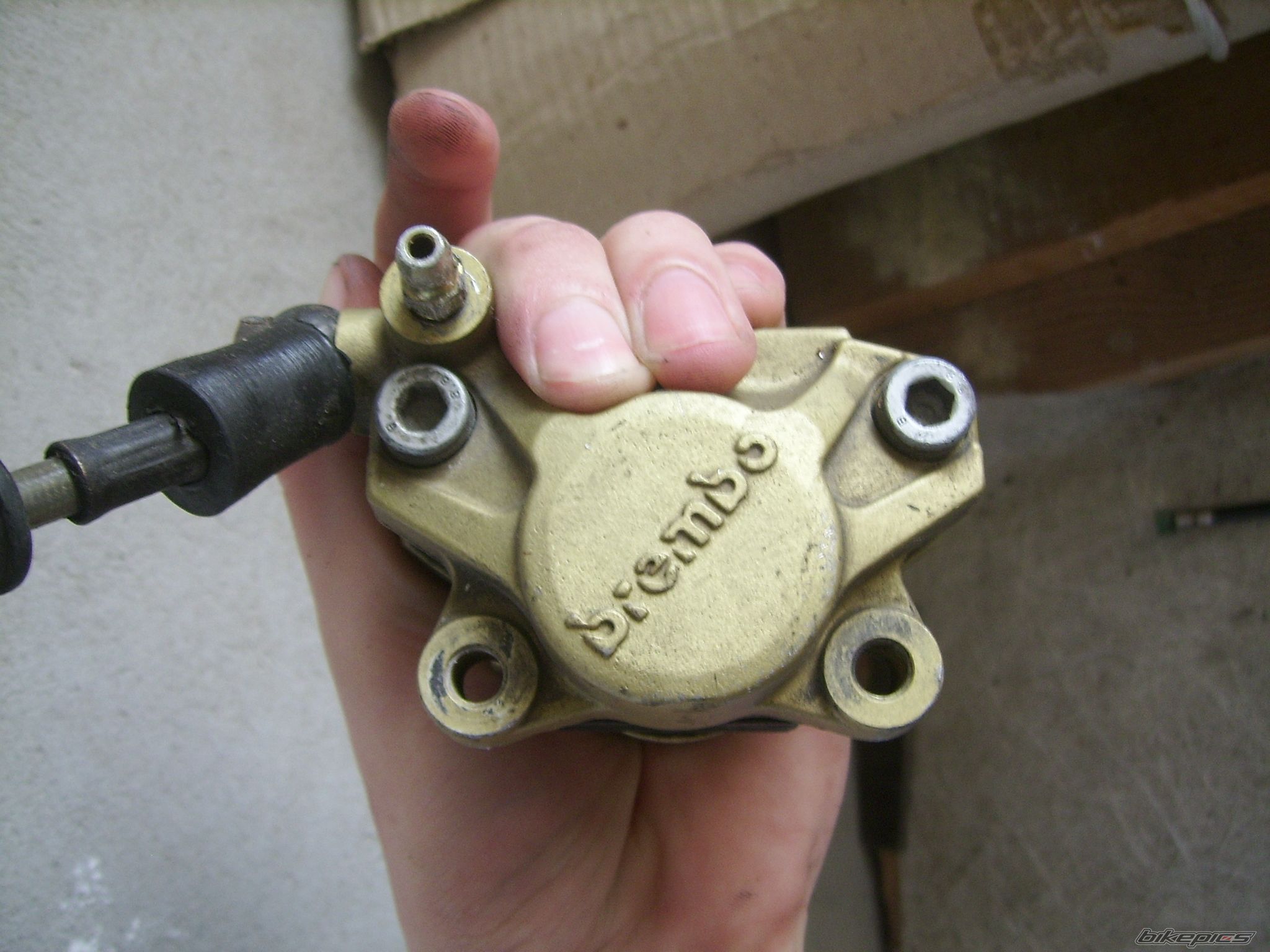 Photo 2297709