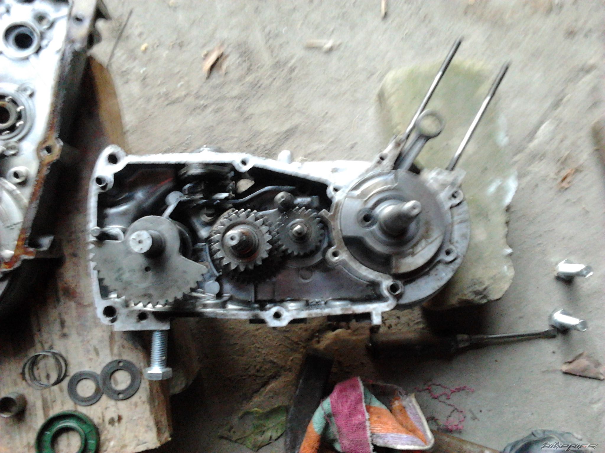 Photo 2297742