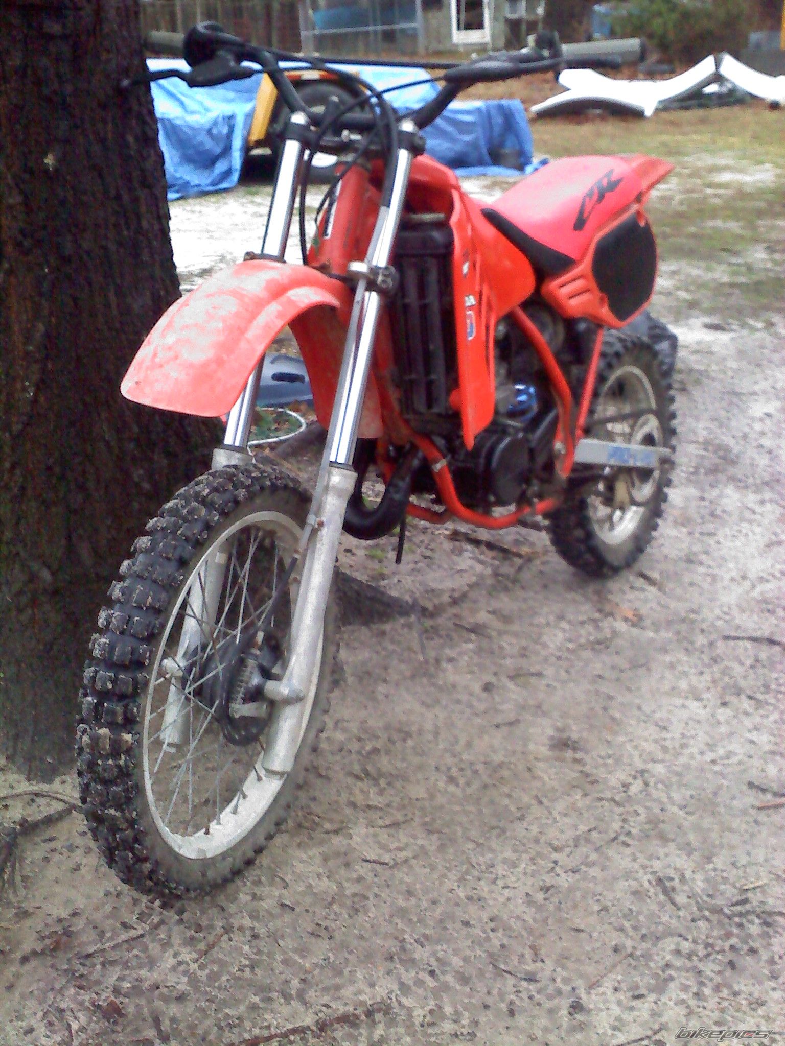 Photo 2297743