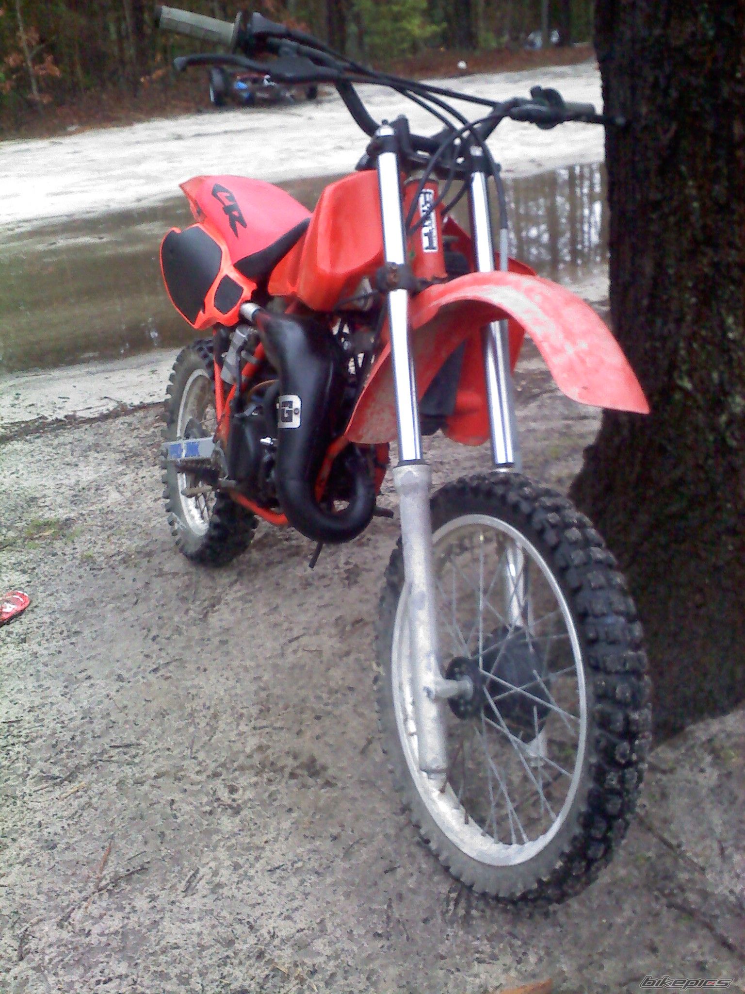 Photo 2297749