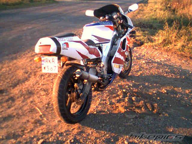 Photo 229778
