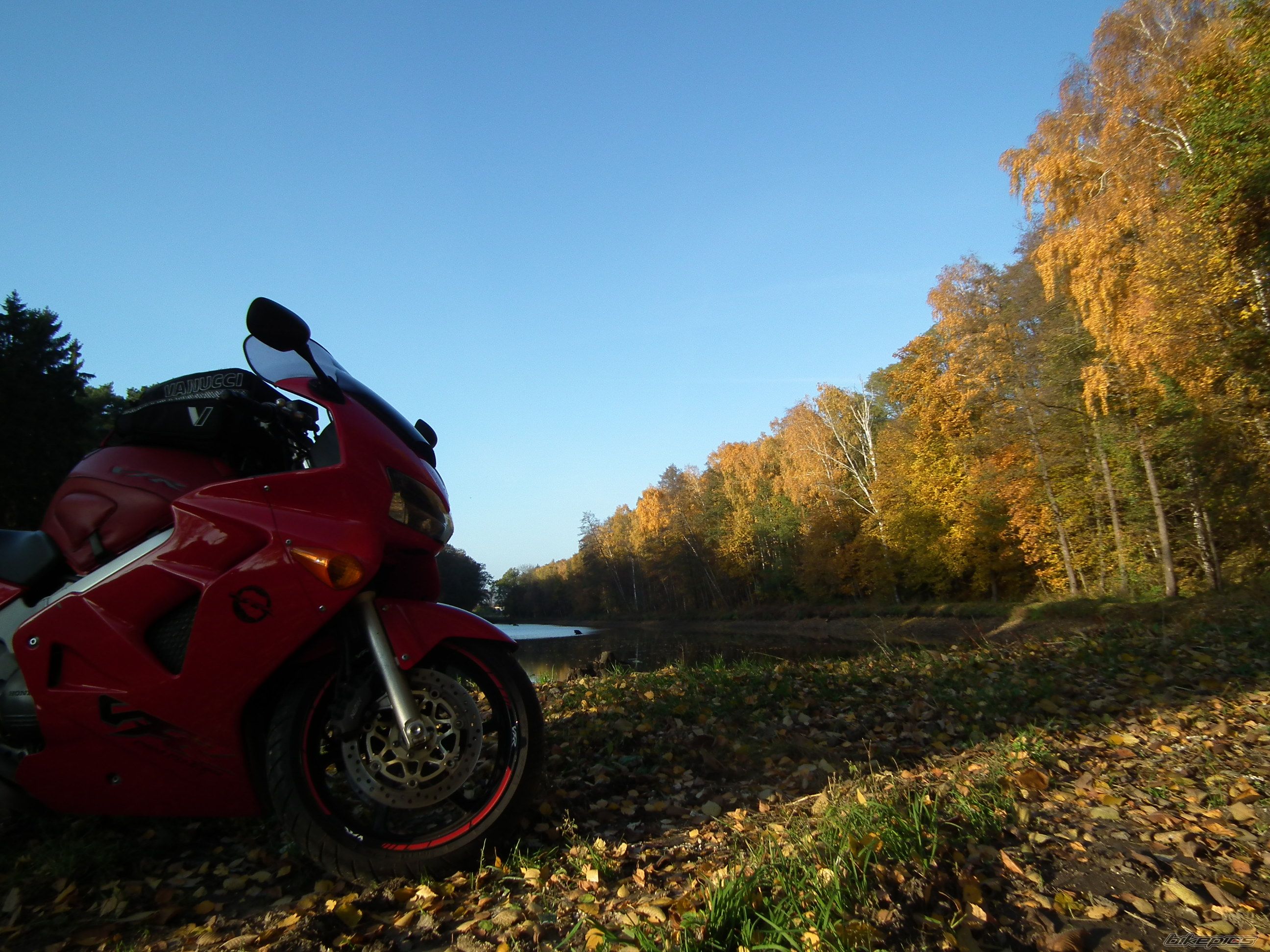 Photo 2297871
