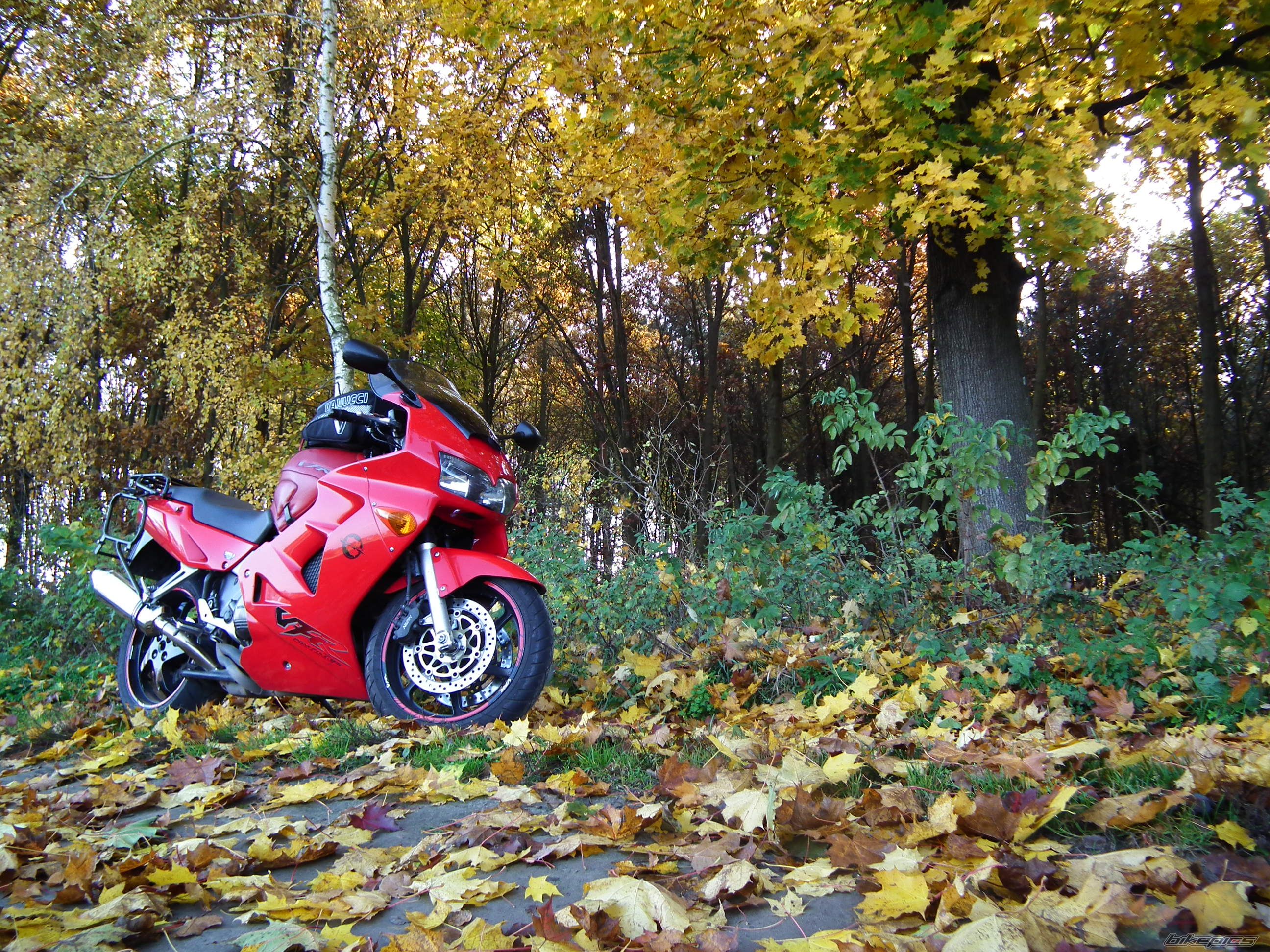 Photo 2297874