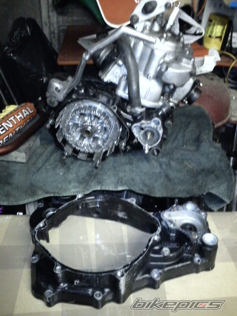 Photo 2297905