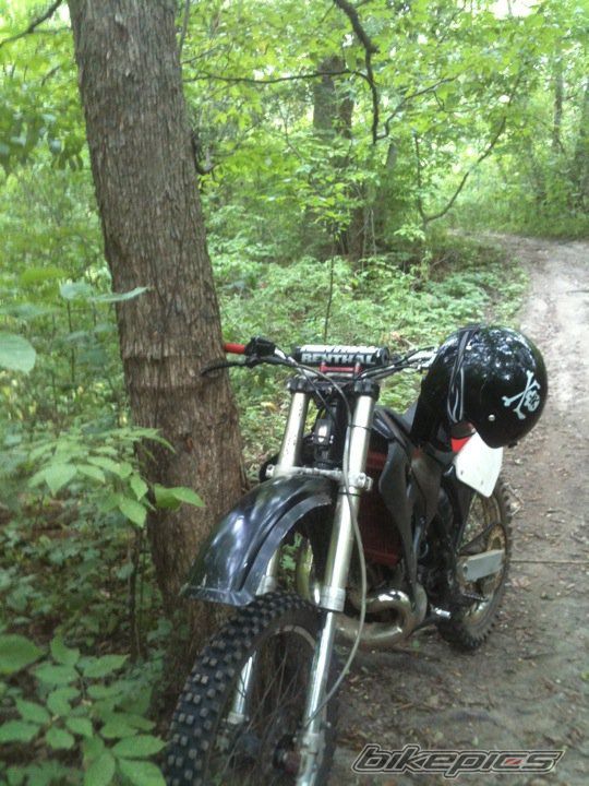 Photo 2297942