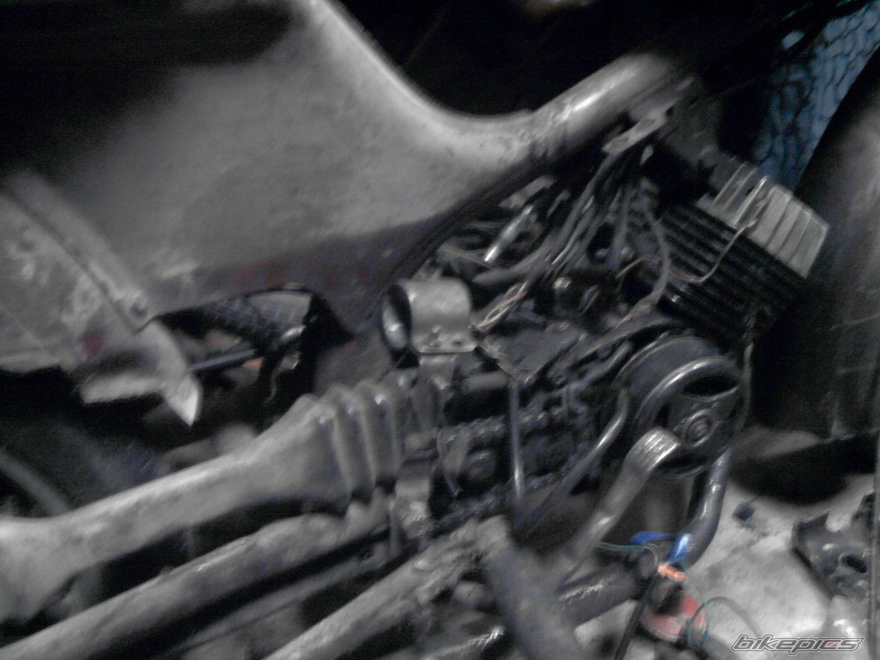 Photo 2298025
