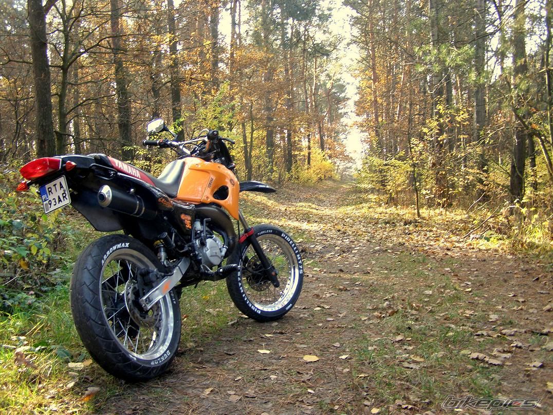 Bike Photo 2298078