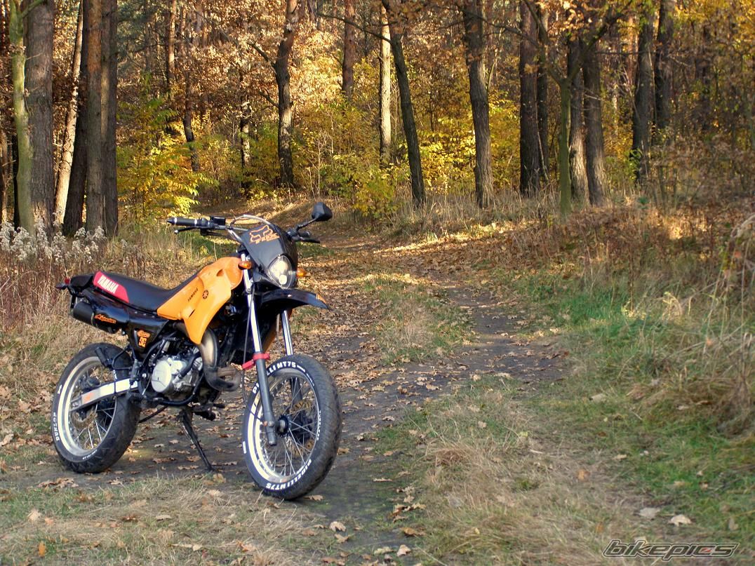 Photo 2298082