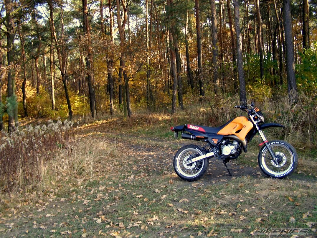 Photo 2298083