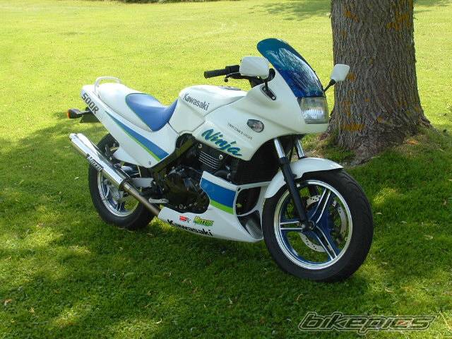 Photo 229809