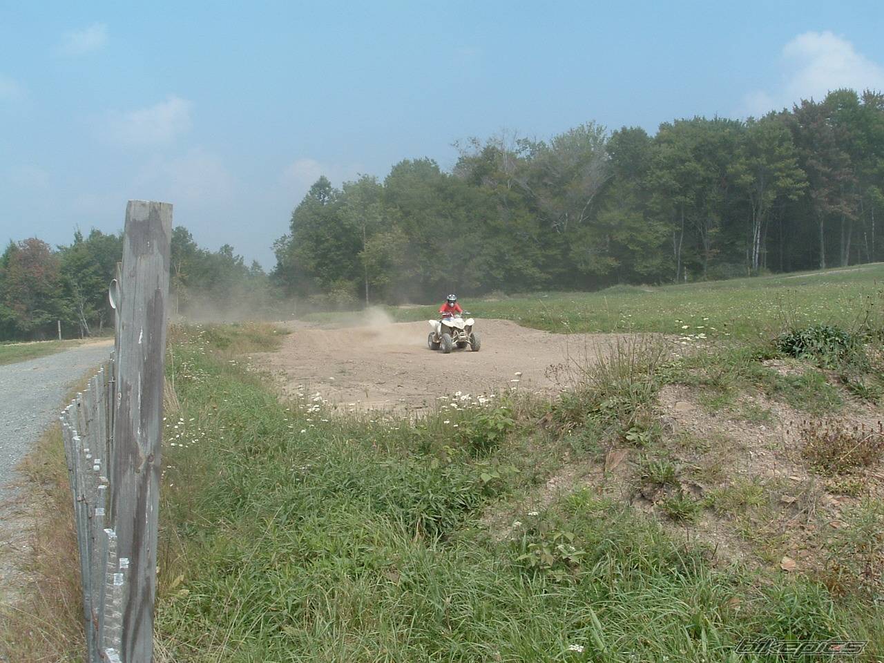 Photo 229810