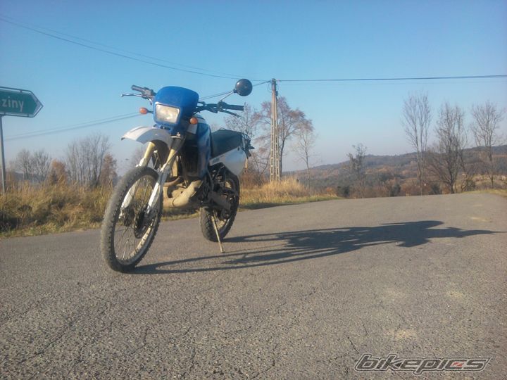 Photo 2298113
