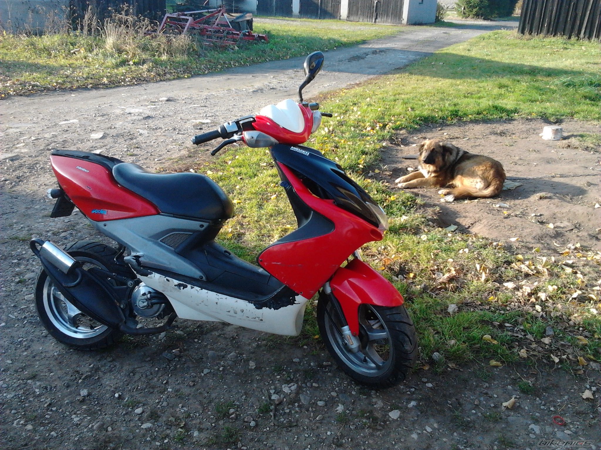 Photo 2298123