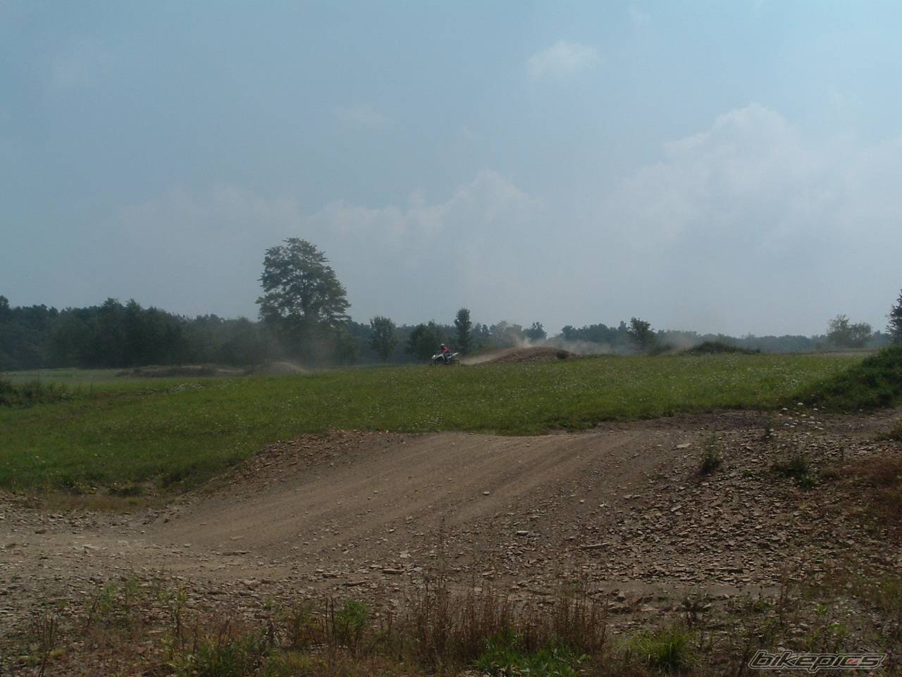 Photo 229813