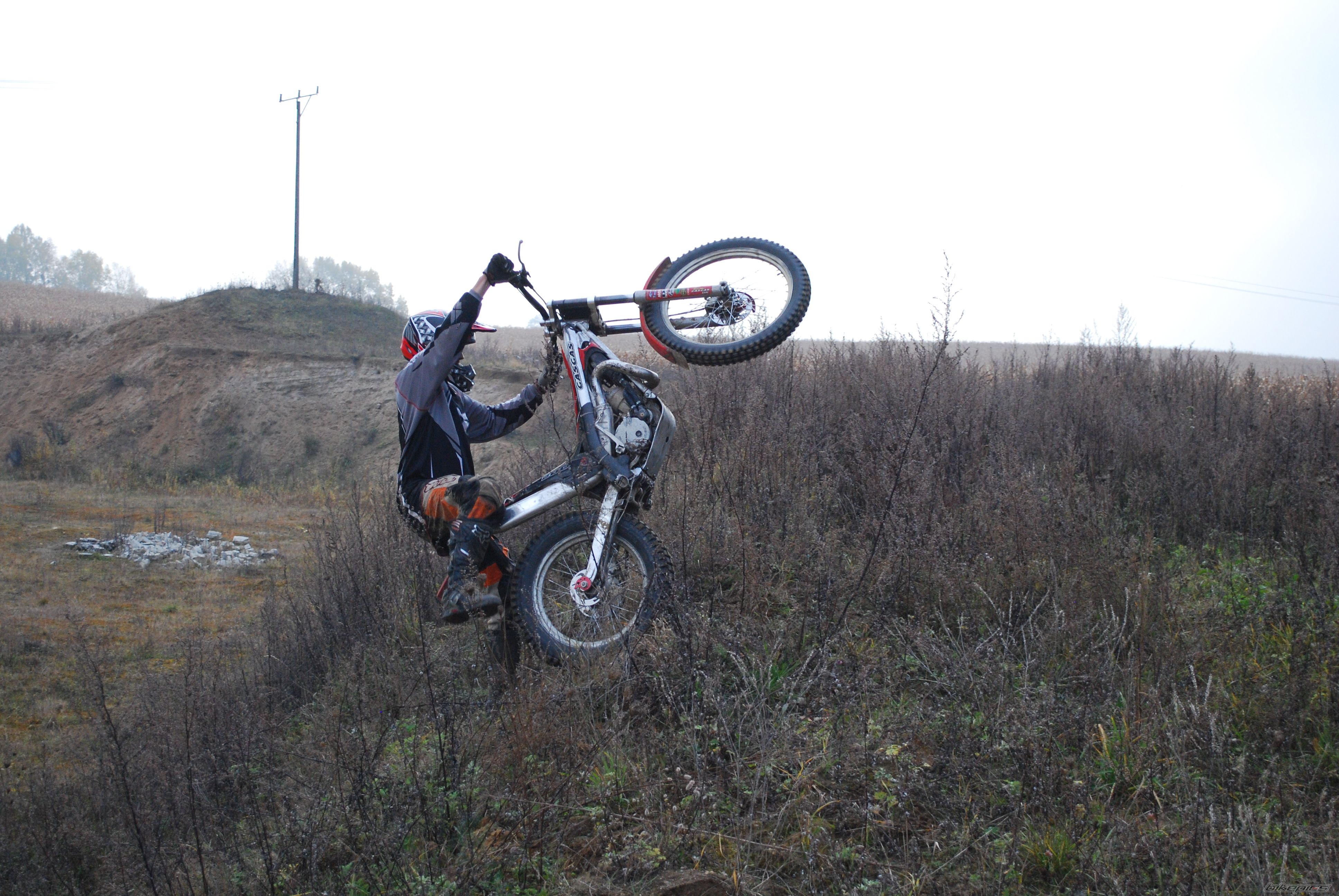 Photo 2298237