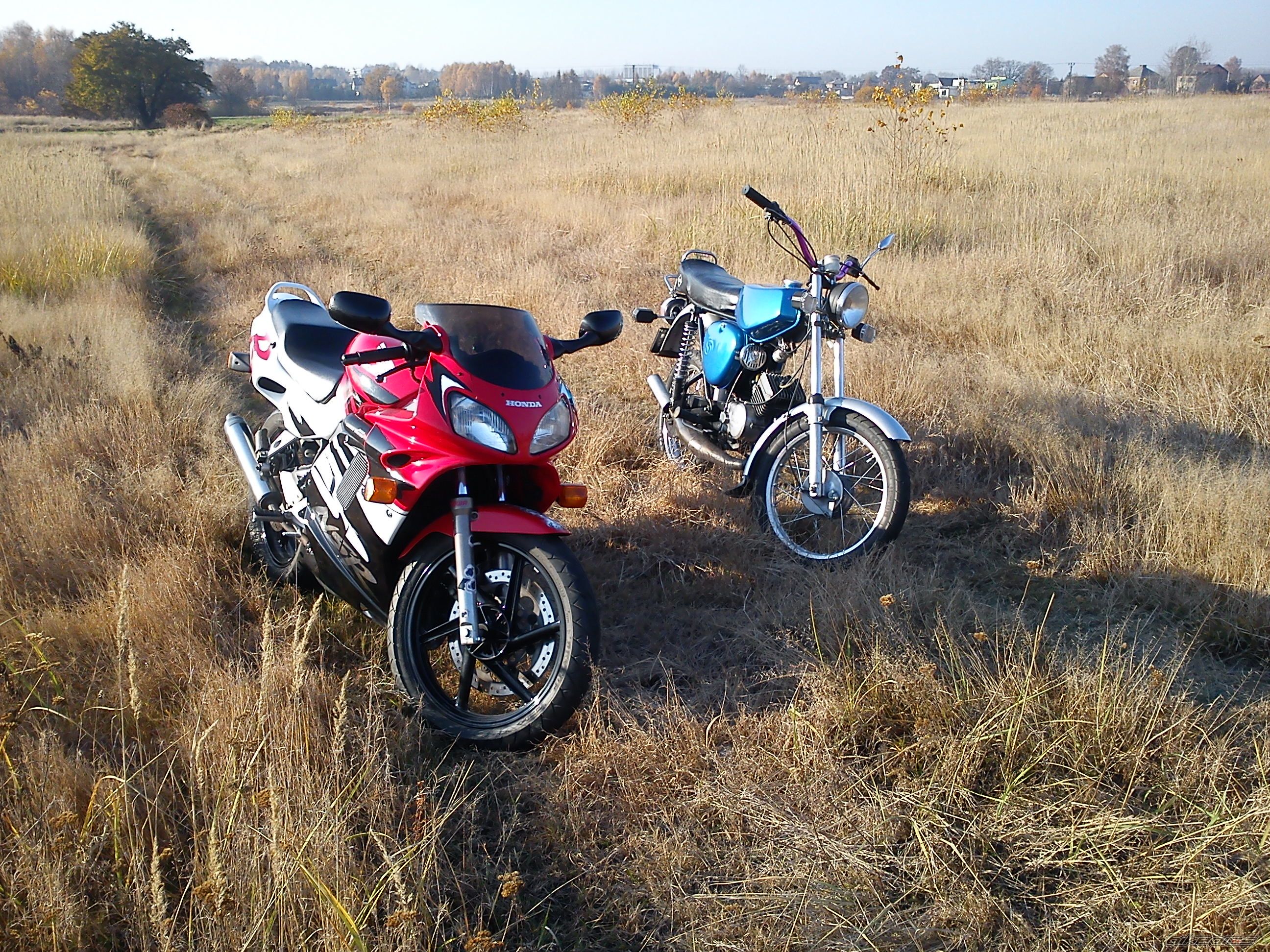 Photo 2298248