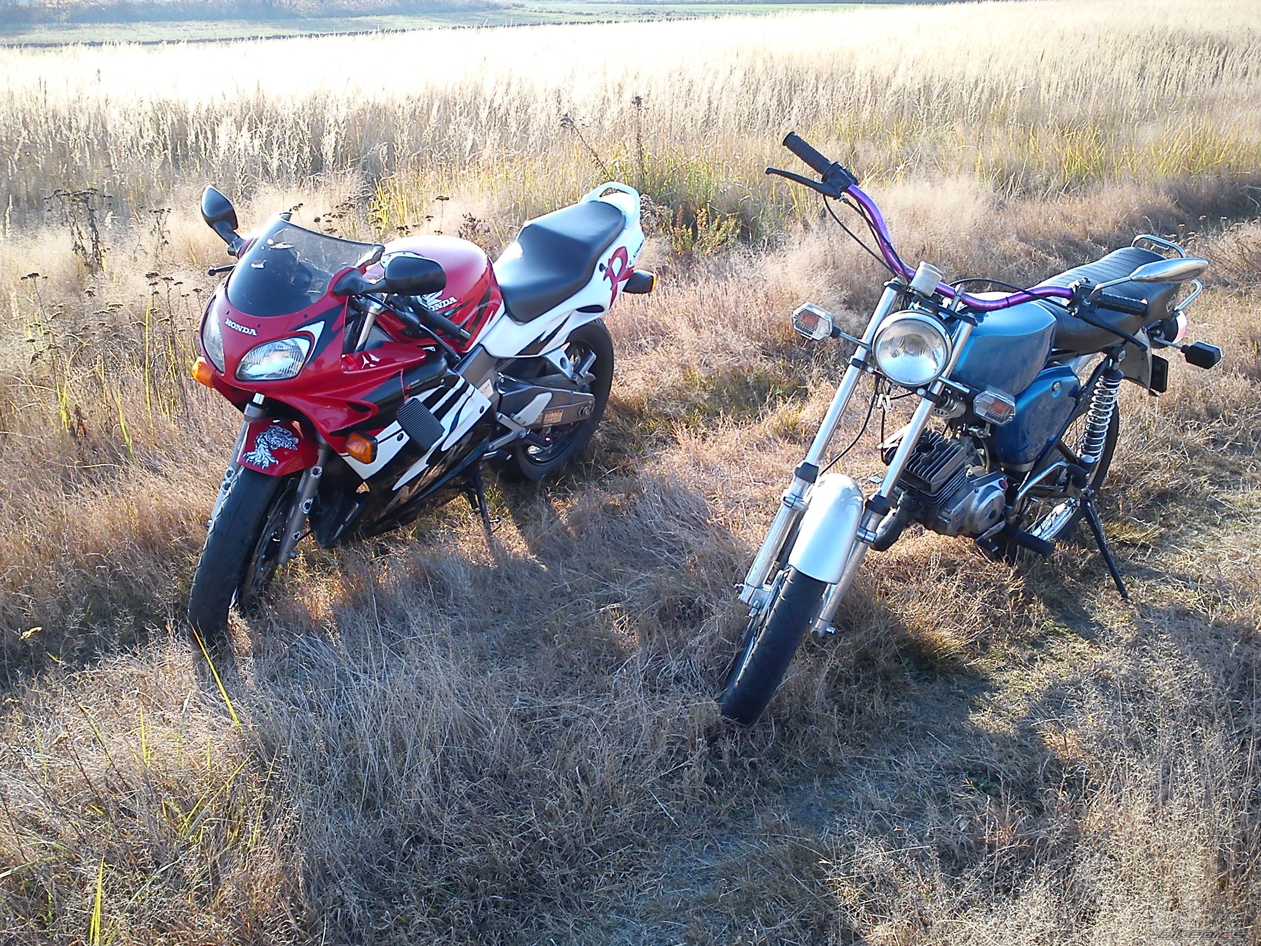 Photo 2298255